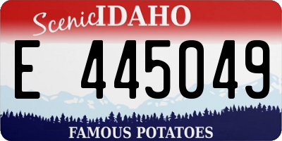 ID license plate E445049