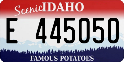 ID license plate E445050