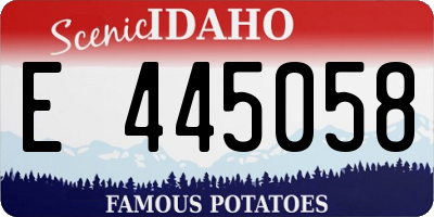 ID license plate E445058