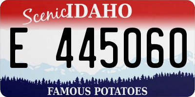 ID license plate E445060