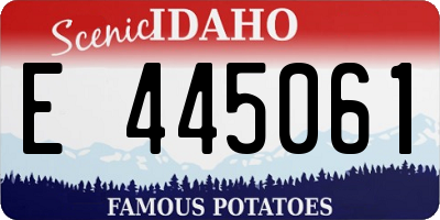 ID license plate E445061