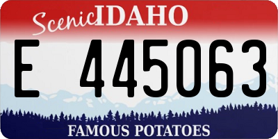 ID license plate E445063
