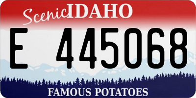 ID license plate E445068