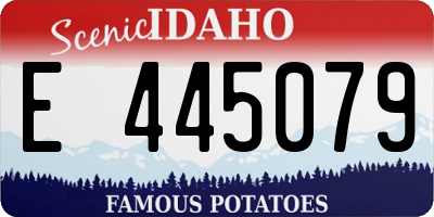 ID license plate E445079