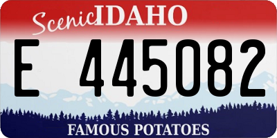 ID license plate E445082