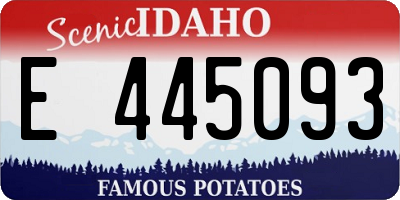 ID license plate E445093