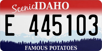 ID license plate E445103