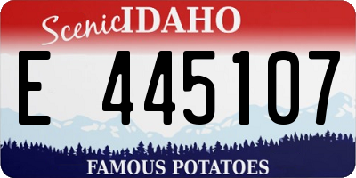ID license plate E445107