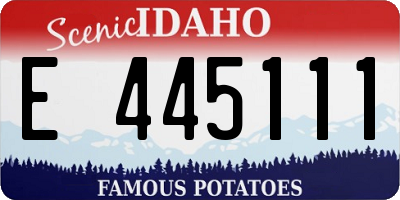 ID license plate E445111