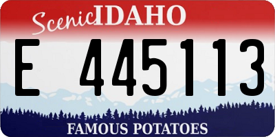 ID license plate E445113