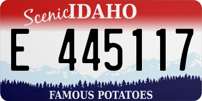 ID license plate E445117