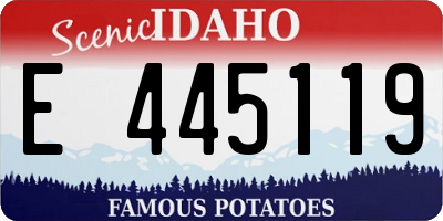 ID license plate E445119