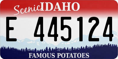 ID license plate E445124