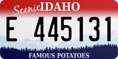 ID license plate E445131