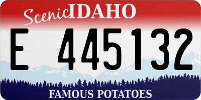 ID license plate E445132