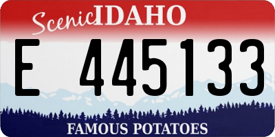 ID license plate E445133
