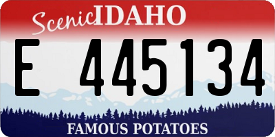 ID license plate E445134