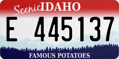 ID license plate E445137