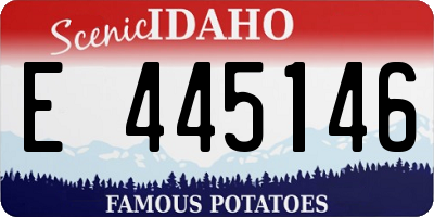 ID license plate E445146