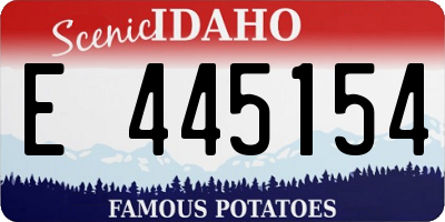 ID license plate E445154