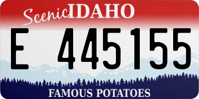 ID license plate E445155
