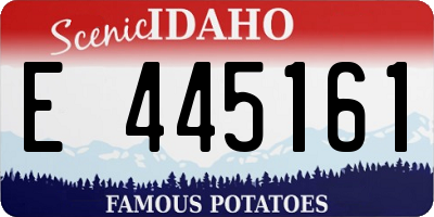 ID license plate E445161