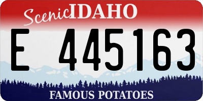ID license plate E445163