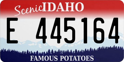 ID license plate E445164