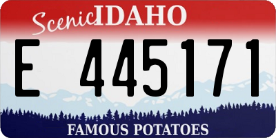 ID license plate E445171