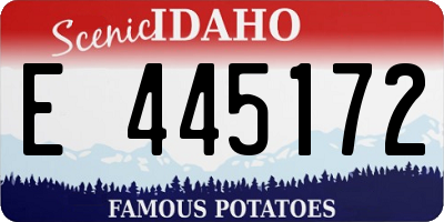 ID license plate E445172