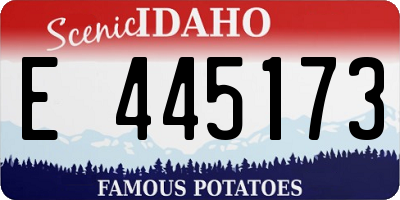 ID license plate E445173