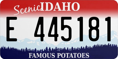 ID license plate E445181