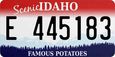 ID license plate E445183