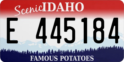 ID license plate E445184