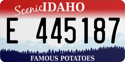 ID license plate E445187