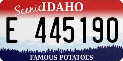 ID license plate E445190