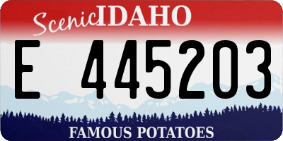ID license plate E445203