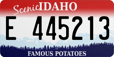 ID license plate E445213