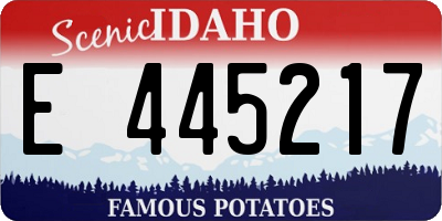 ID license plate E445217