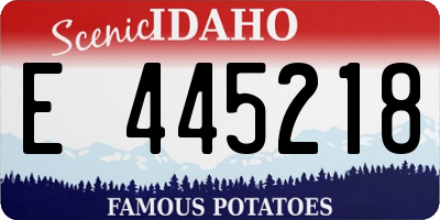 ID license plate E445218