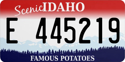 ID license plate E445219