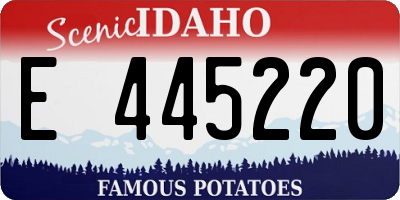 ID license plate E445220