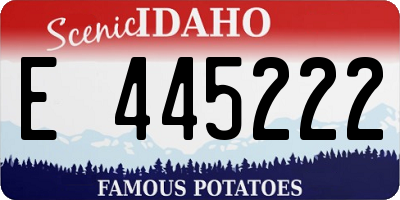 ID license plate E445222