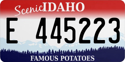ID license plate E445223