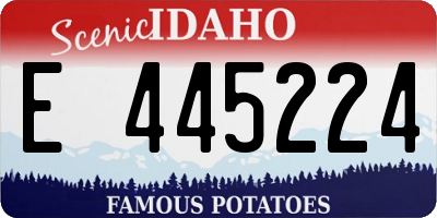 ID license plate E445224