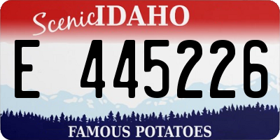 ID license plate E445226