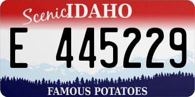 ID license plate E445229