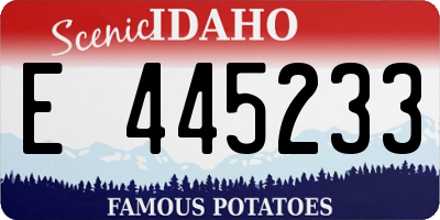 ID license plate E445233