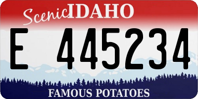 ID license plate E445234