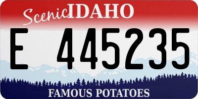 ID license plate E445235